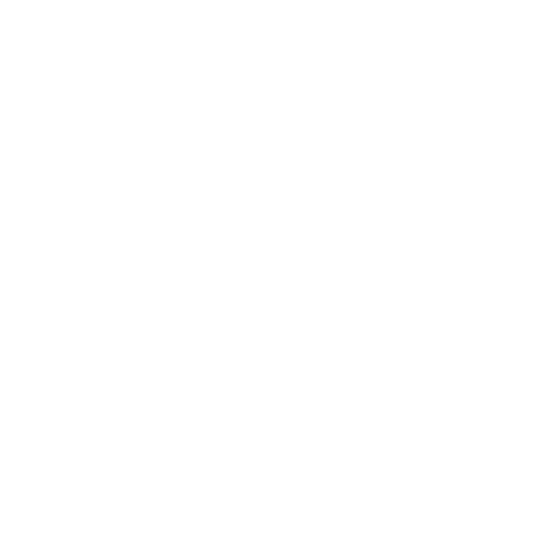 logo-white-vicente-advocacia